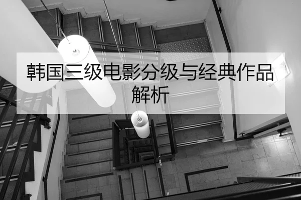 韩国三级电影分级与经典作品解析
